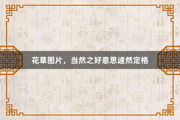 花草图片，当然之好意思遽然定格