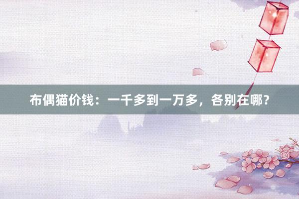 布偶猫价钱：一千多到一万多，各别在哪？